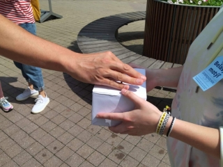 Belasy Motyl 01.jpeg