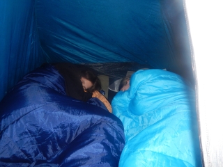 Dofe08.JPG