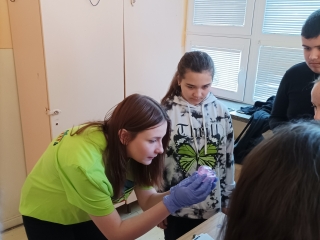 Edukacia ZS Matejovce AA.jpg