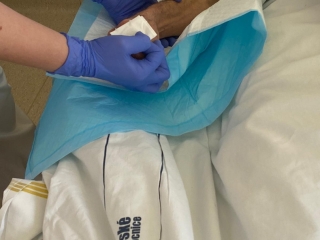 Erasmus CB No5 17.JPG