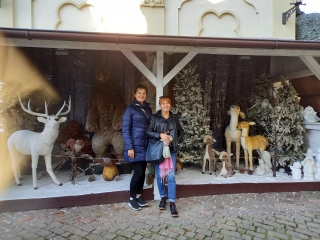 Erasmus Karlove Vary 28.jpg