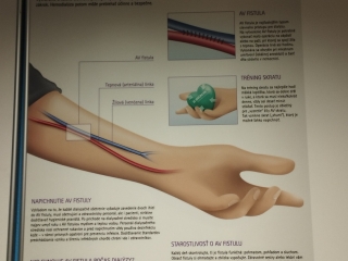 Exkurzia 3B KK 02.jpg