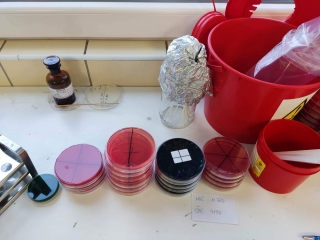 Exkurzia 4B HEMATOLLOGY 01 2.jpeg