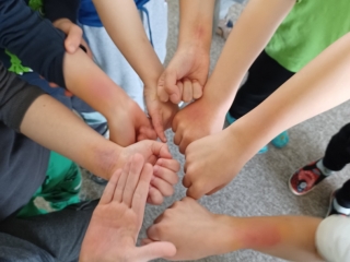 PRP ZS Taj PP 05.jpg