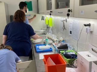 Prakticka Maturitna Skuska 04.jpg